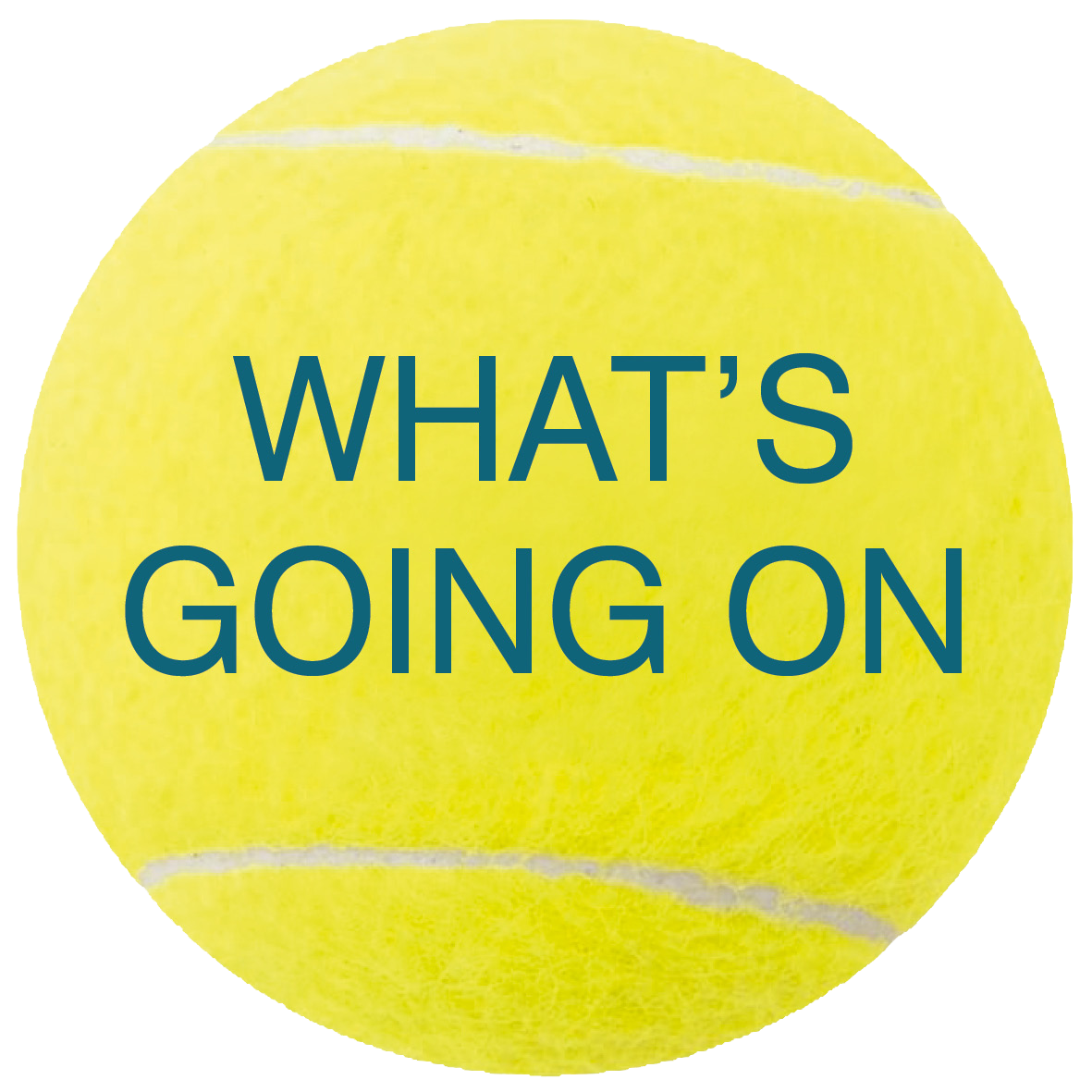 Whats happening at Penzance Tennis Club